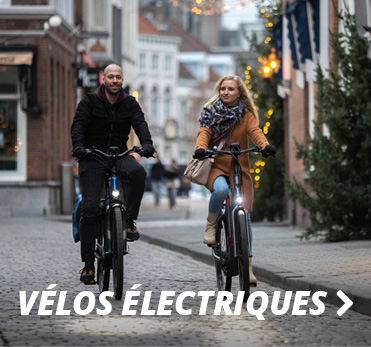 Vélos Électriques