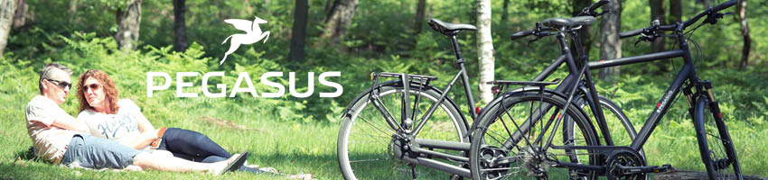 Pegasus Hybrid Bikes