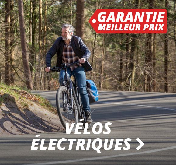 Vélos Électriques