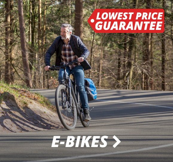 Electric Bikes