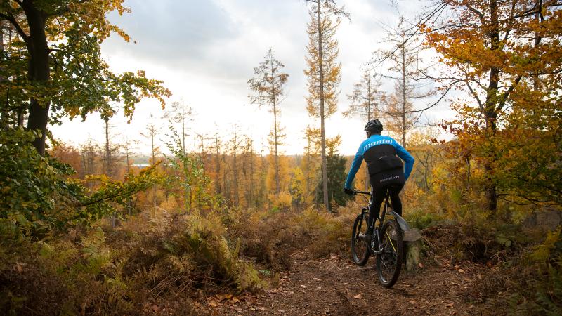 Mountainbiker in bos tijdens de herfst
