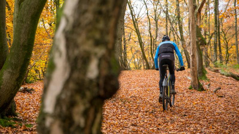 Mountainbiker in het bos.