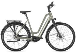 Gazelle Chamonix C5 HMS
