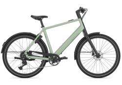 Gazelle CURB T9 H