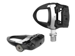 Garmin Rally RS110/RS210