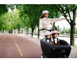 Urban Arrow Family AL+ Elektrische Bakfiets
