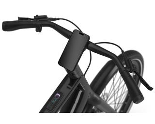 Gazelle CURB C1