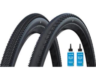 Schwalbe G-One R Pro + G-One RS Pro Mantel Sealant 2 x 125 ml / Svart