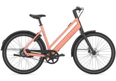 Gazelle CURB C1