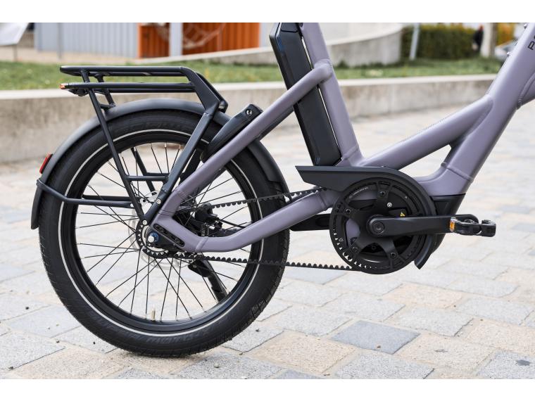 Pegasus Swing E8F Belt