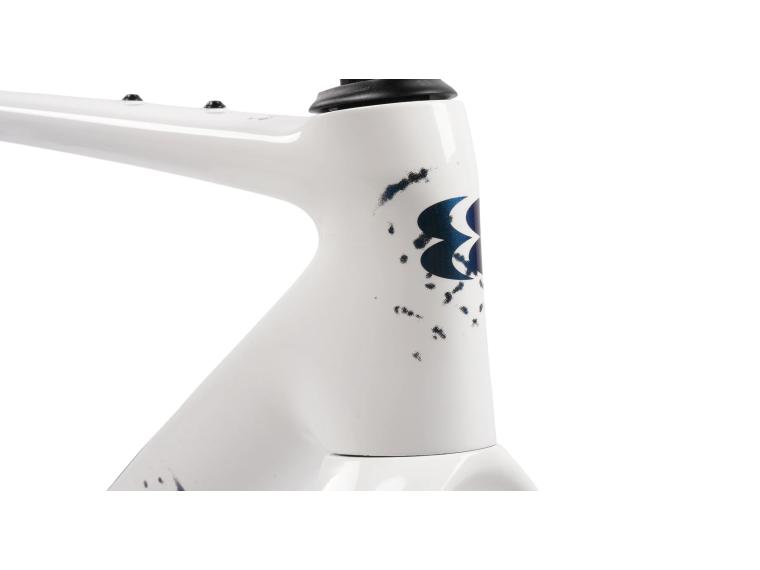 Evolve CIMA GR Sailfish Pearl Gravelbike Frame