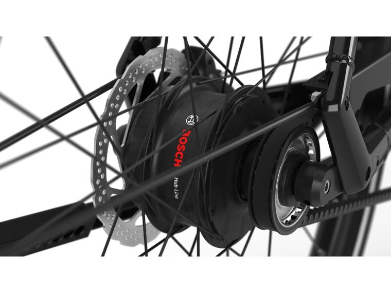 Gazelle CURB C1