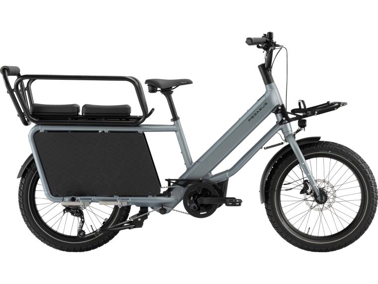 Pegasus Famulo Grey