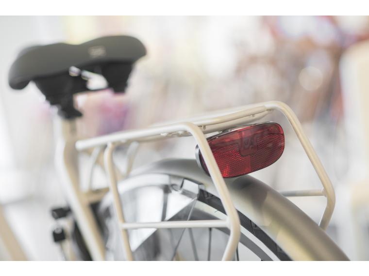 Cortina Roots Moederfiets