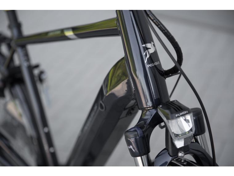 Pegasus Ravenna EVO 8F 2018 City E-Bike