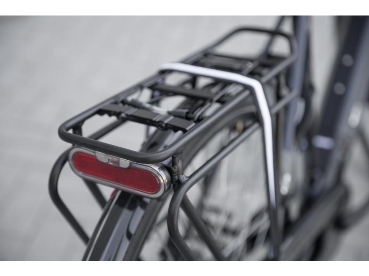 Pegasus Ravenna EVO 8F 2018 City E-Bike