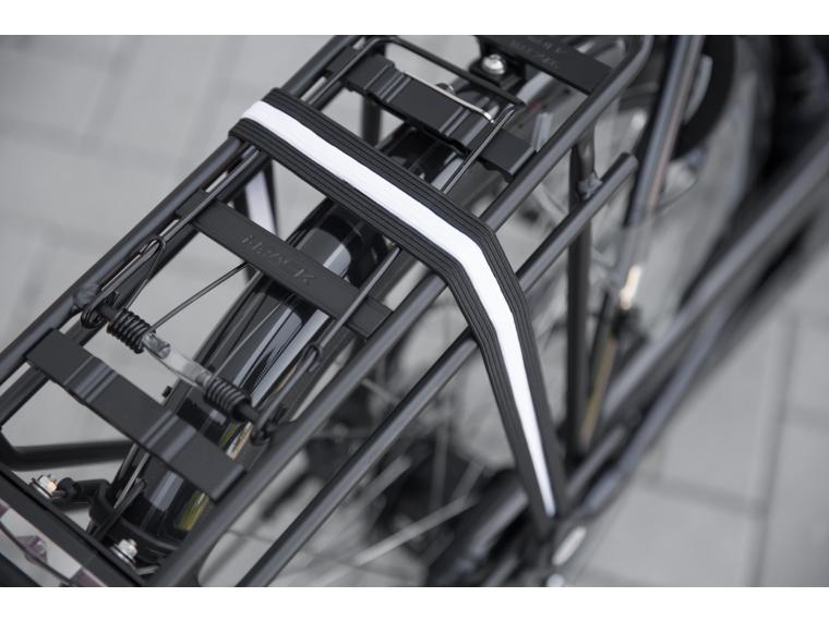 Pegasus Ravenna EVO 8F 2018 City E-Bike