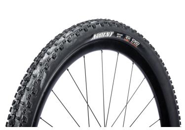 Maxxis Ardent EXO TLR