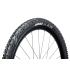 Maxxis Ardent EXO TLR
