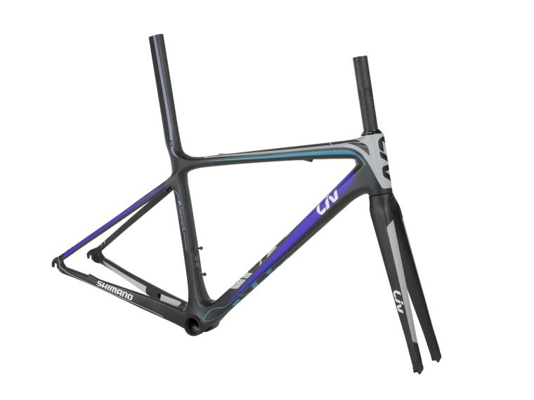 Giant Avail ISP LIV Racefiets Frame